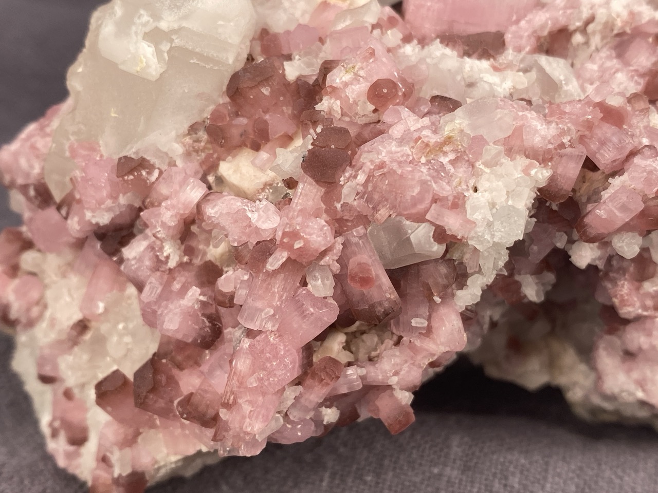 Rubellite - Image 6