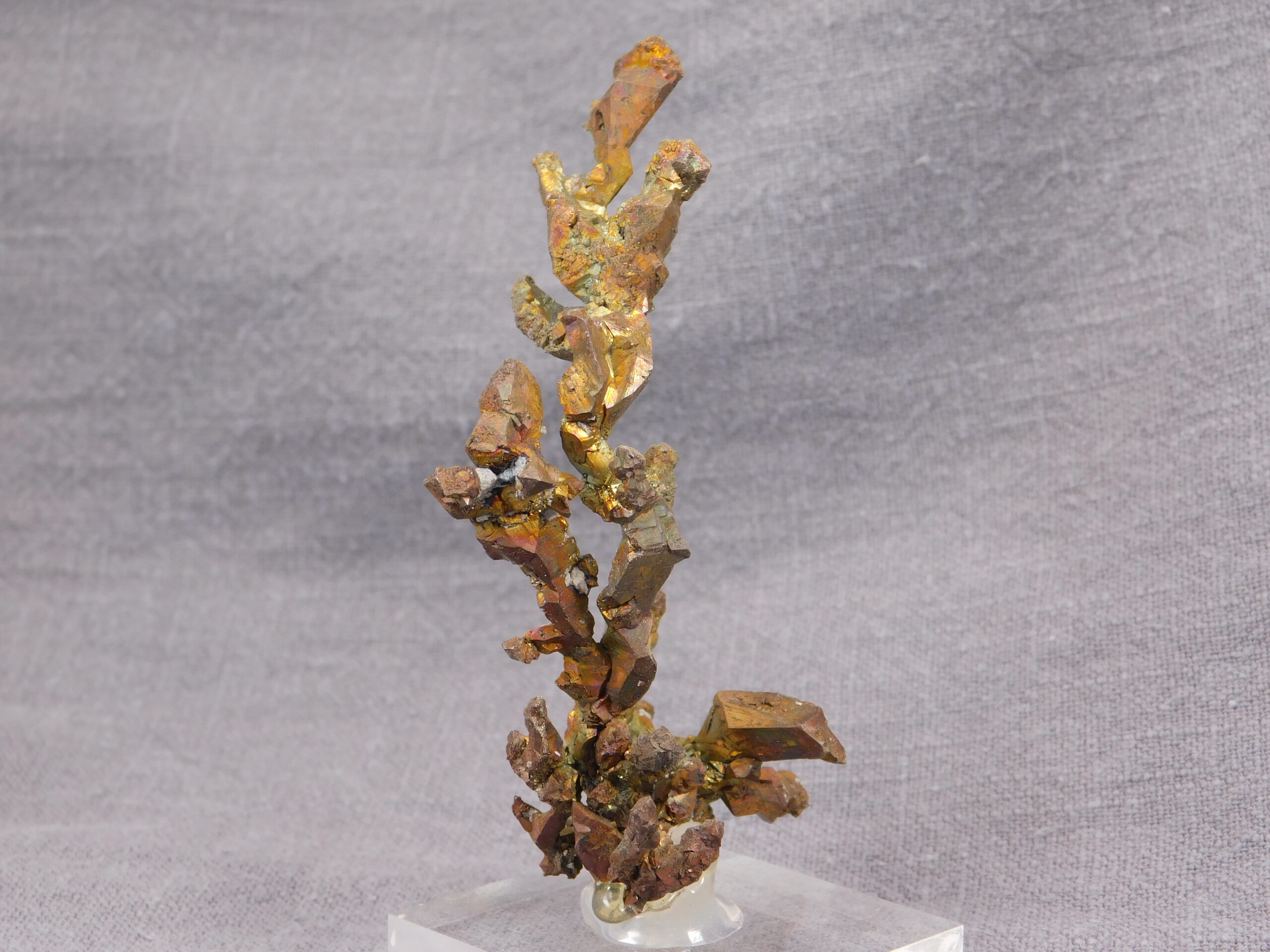 Copper - Image 5