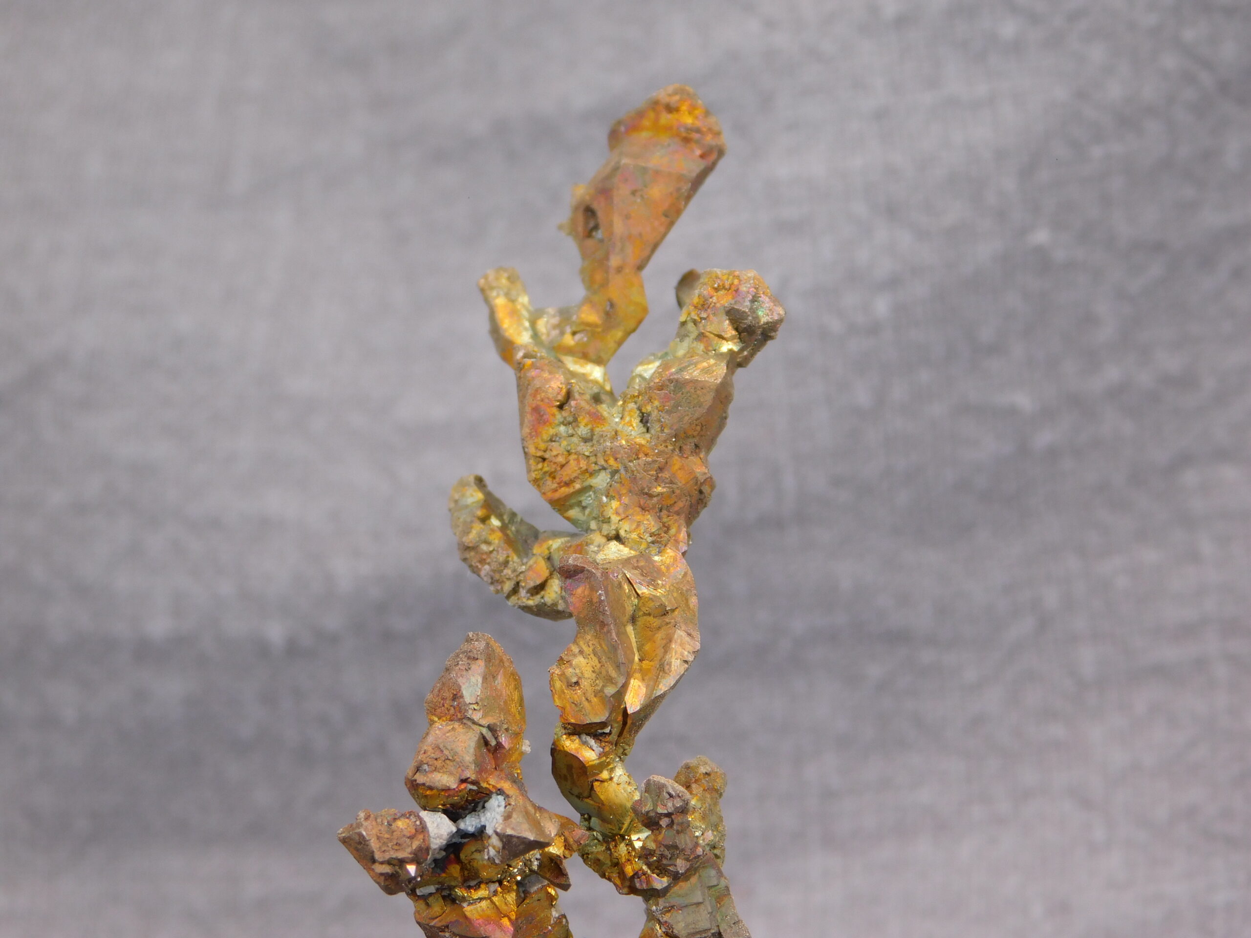 Copper - Image 6