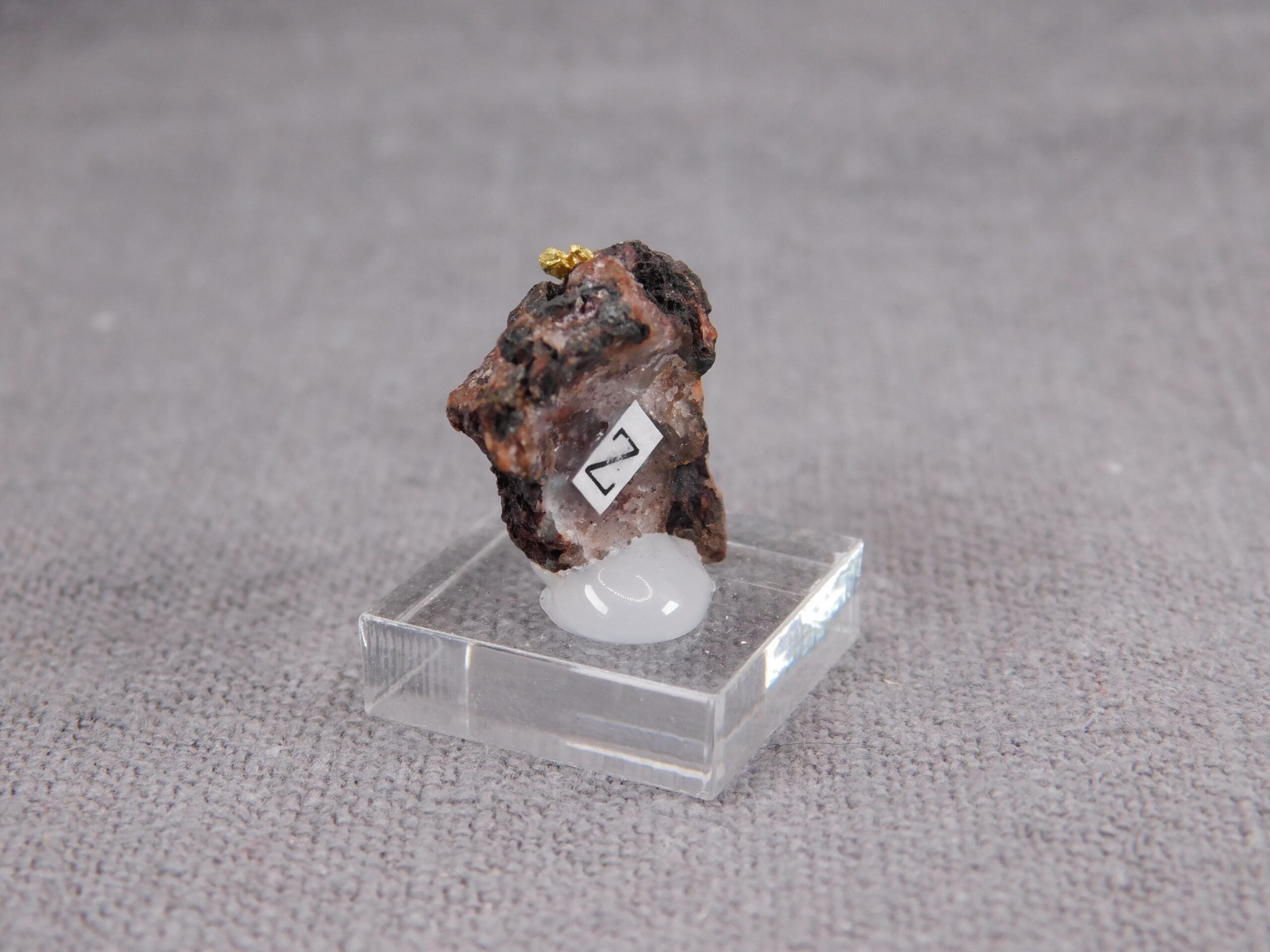 Zlato na křemeni - Obrázek 5