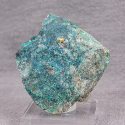 Zlato na shattuckitu