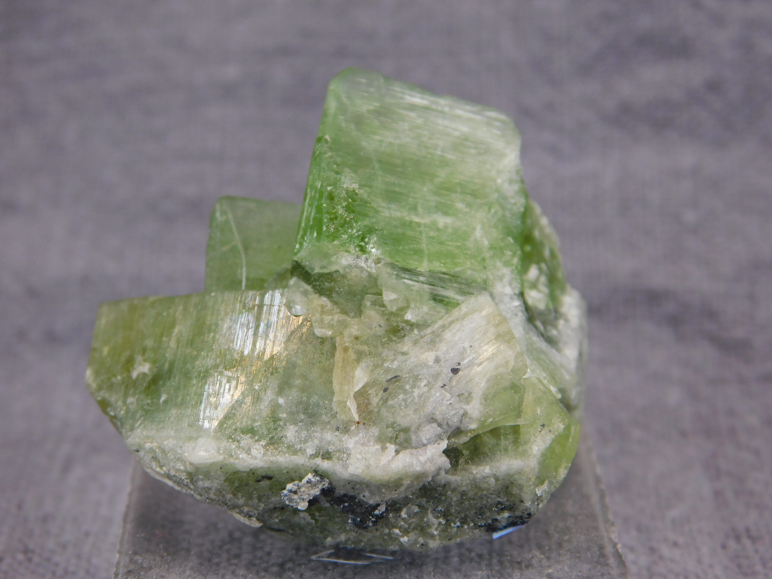 Peridot - Image 3