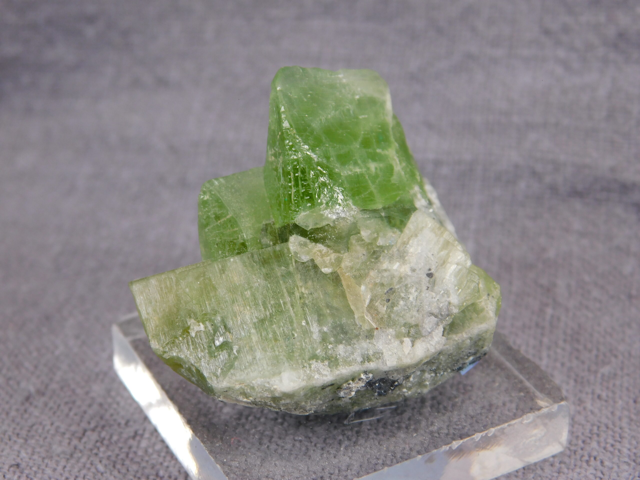 Peridot - Image 4