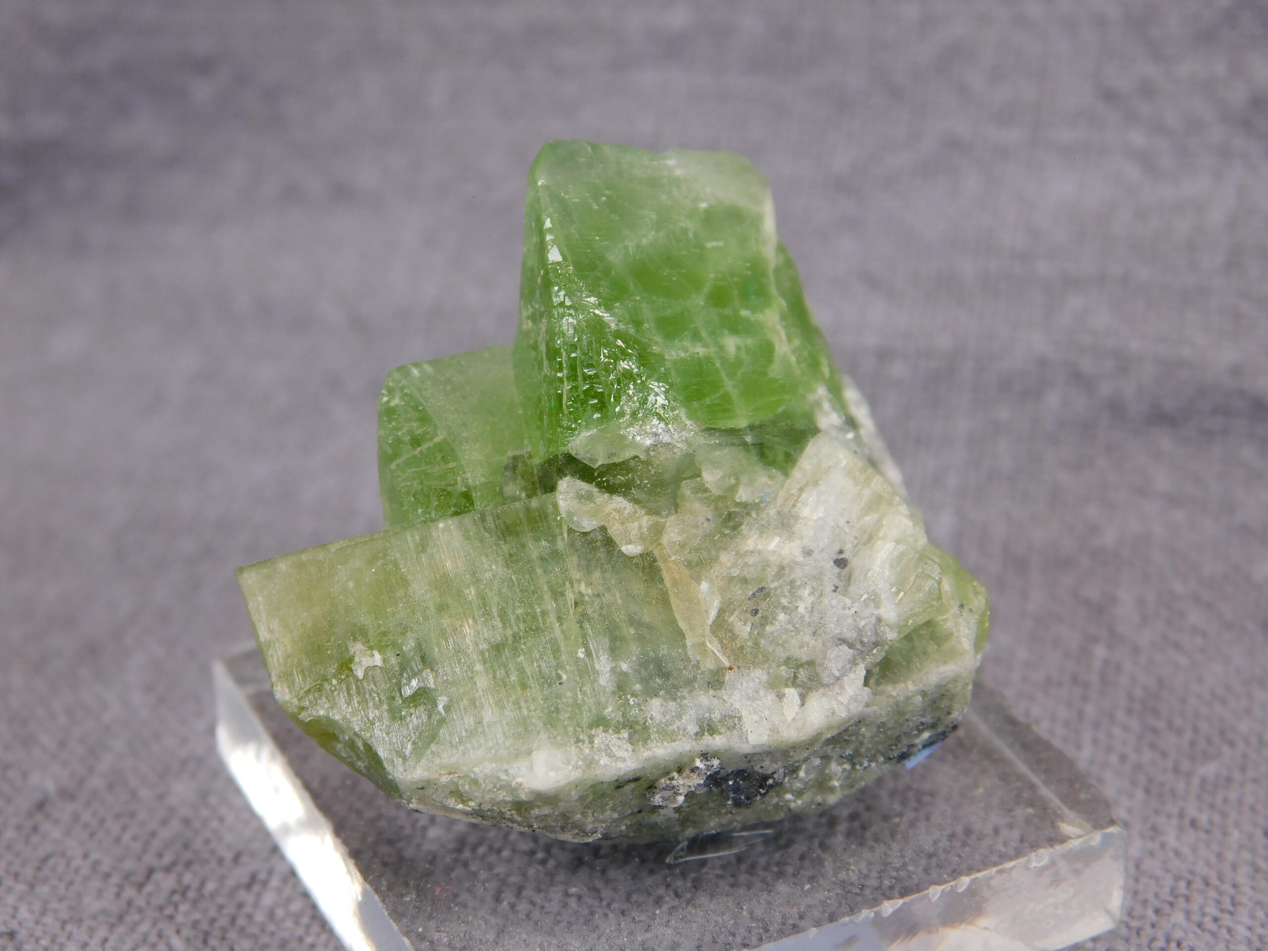 Peridot - Image 5