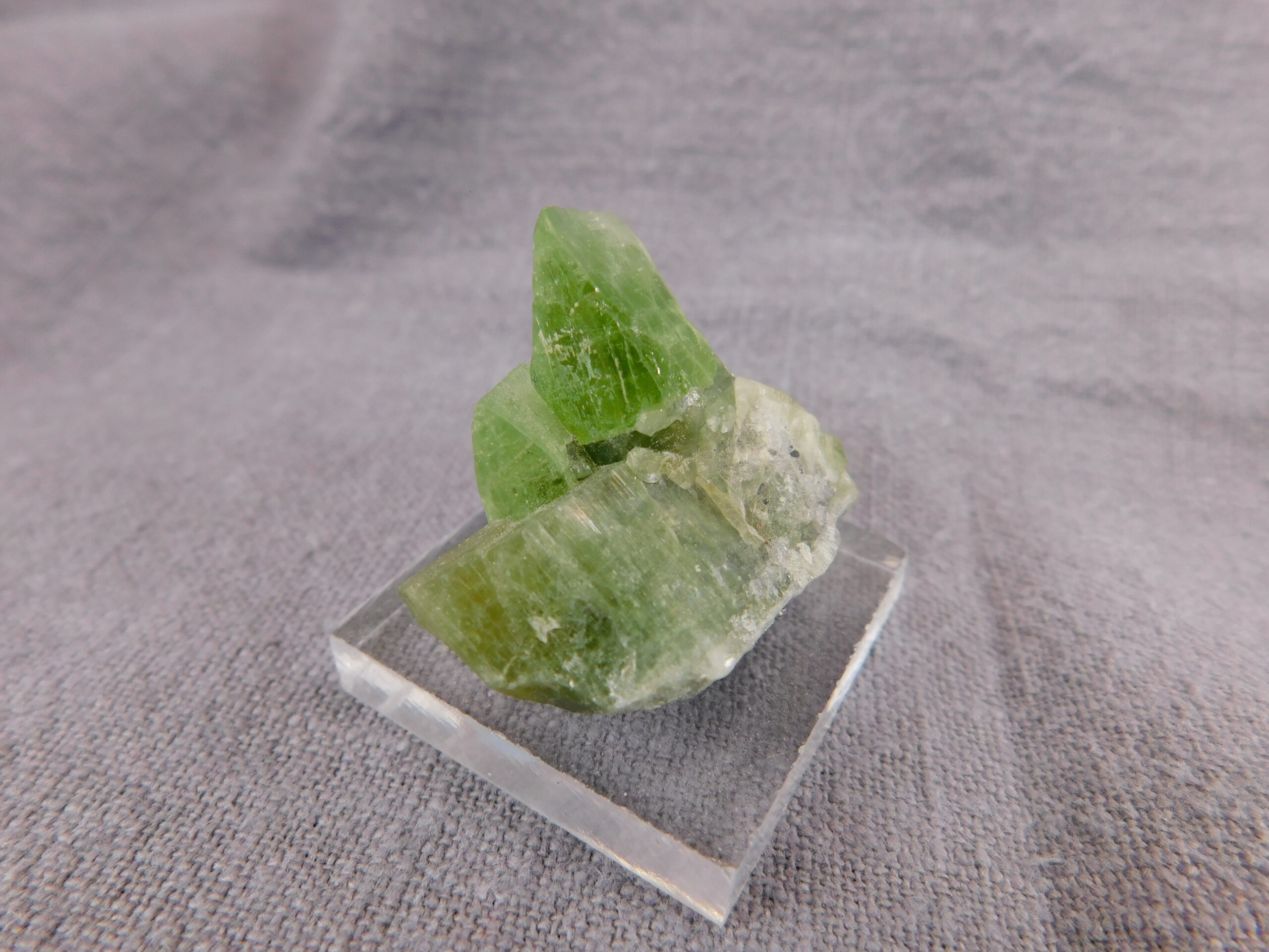 Peridot - Image 6