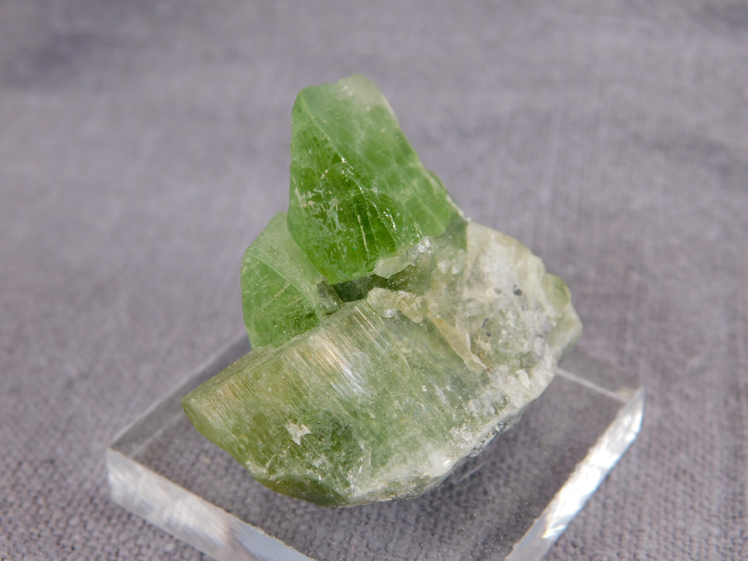 Peridot - Image 7