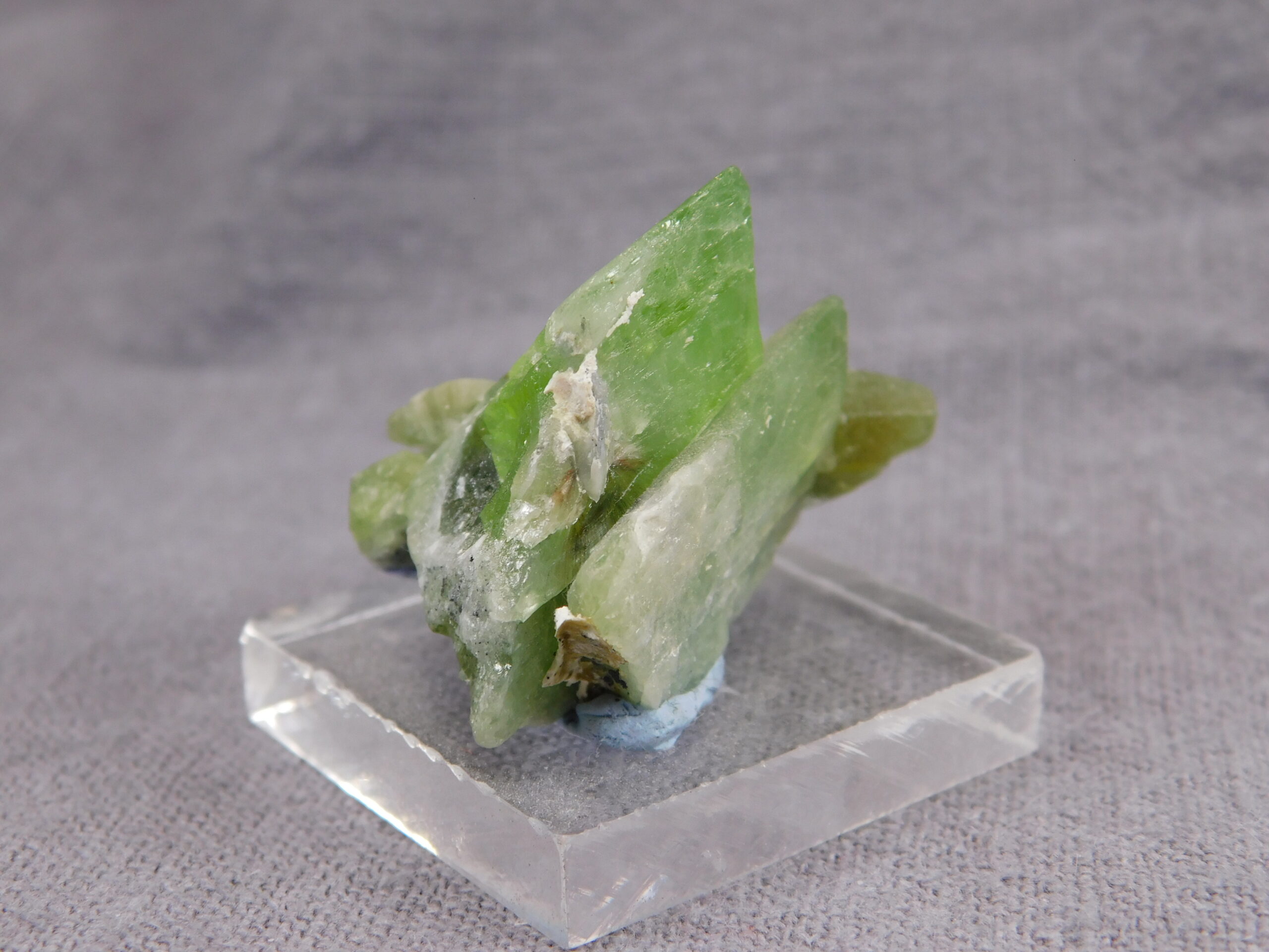 Peridot - Image 9