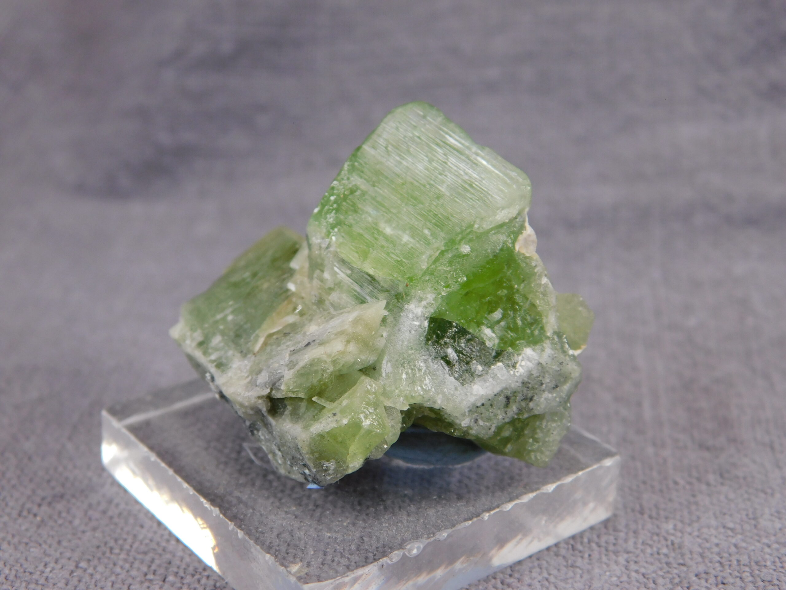 Peridot - Image 10