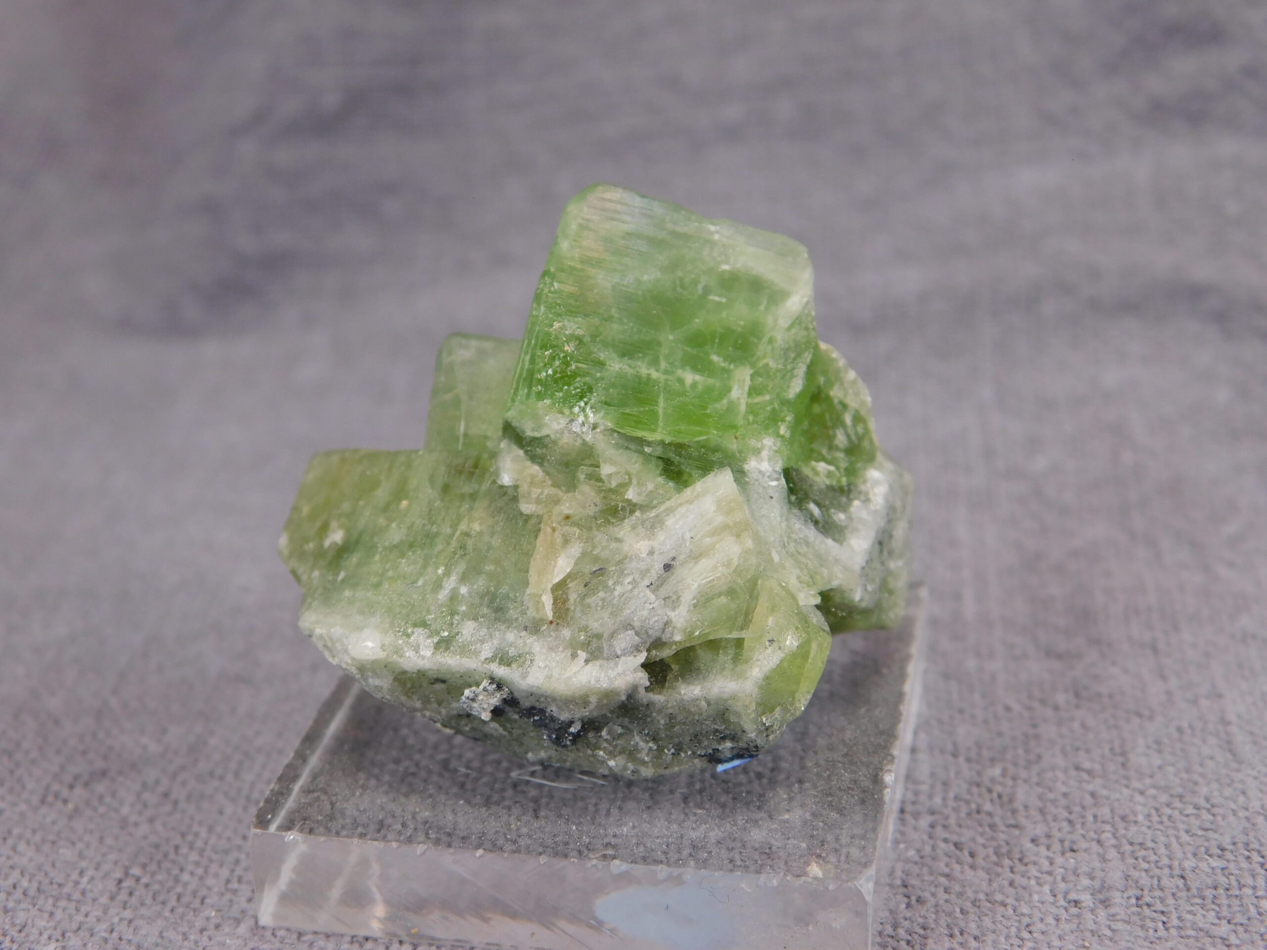 Peridot - Image 11