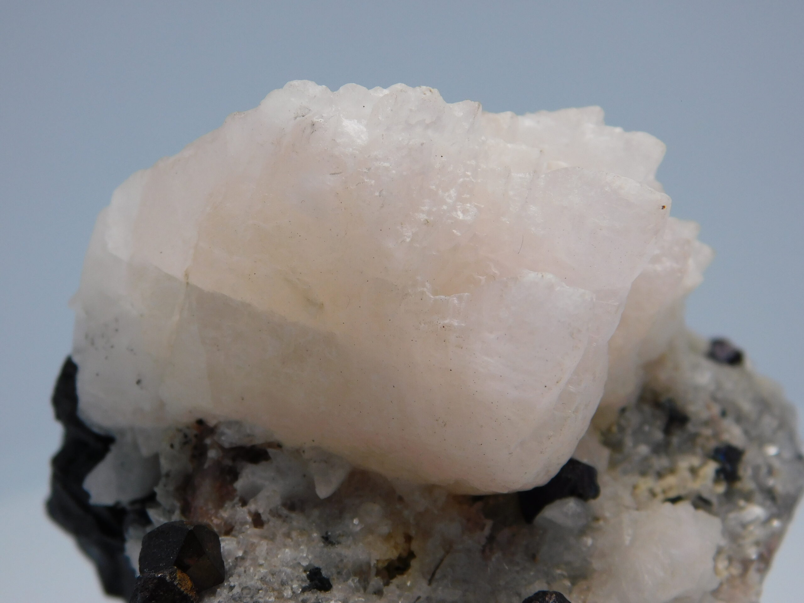Bornite - Image 7