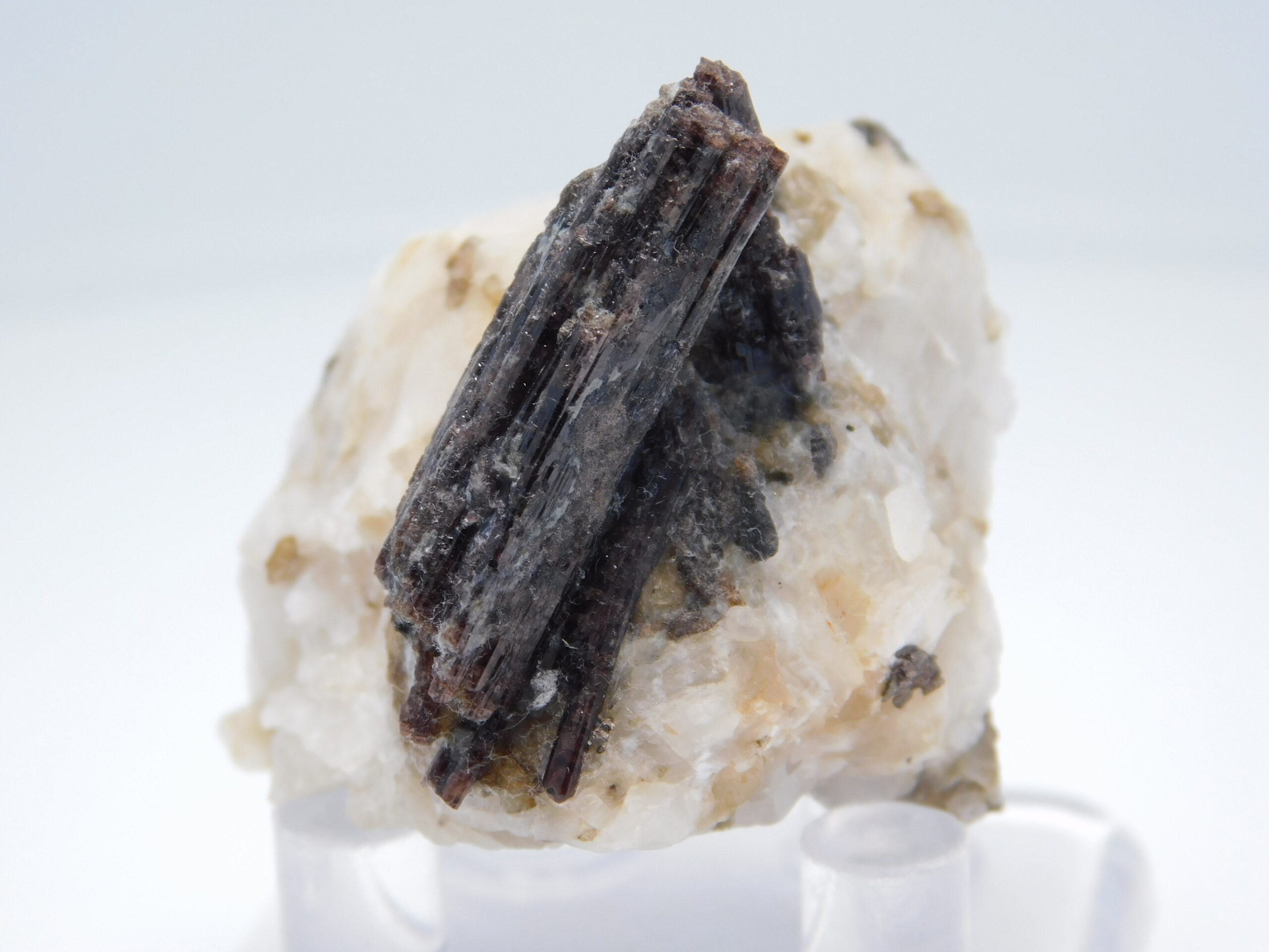 Painit - Obrázek 10