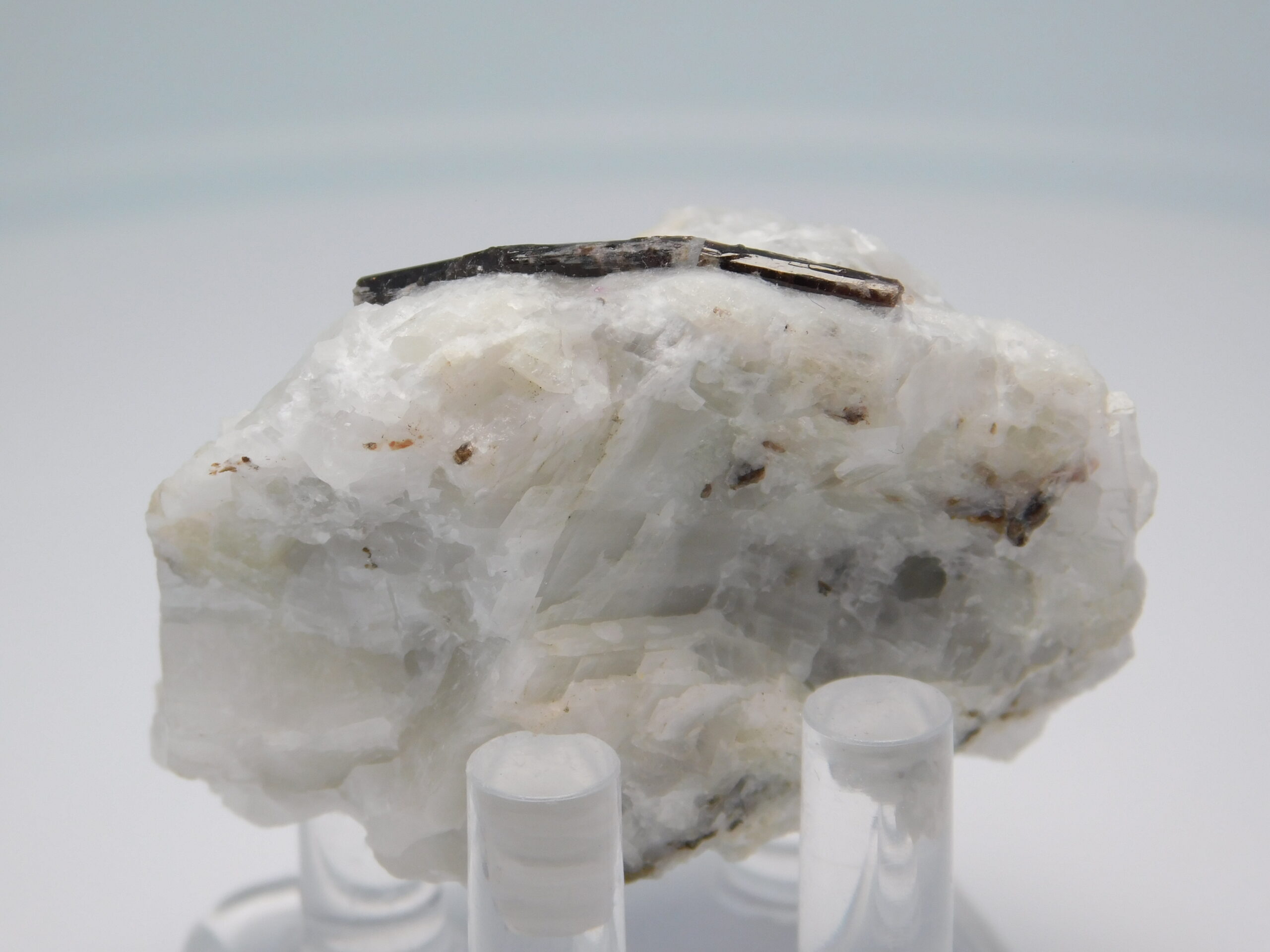 Painit - Obrázek 11