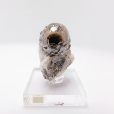 Muscovite