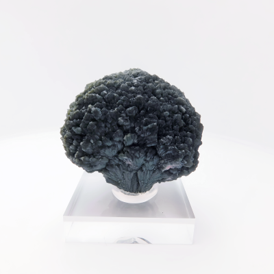 Dravite on schorl