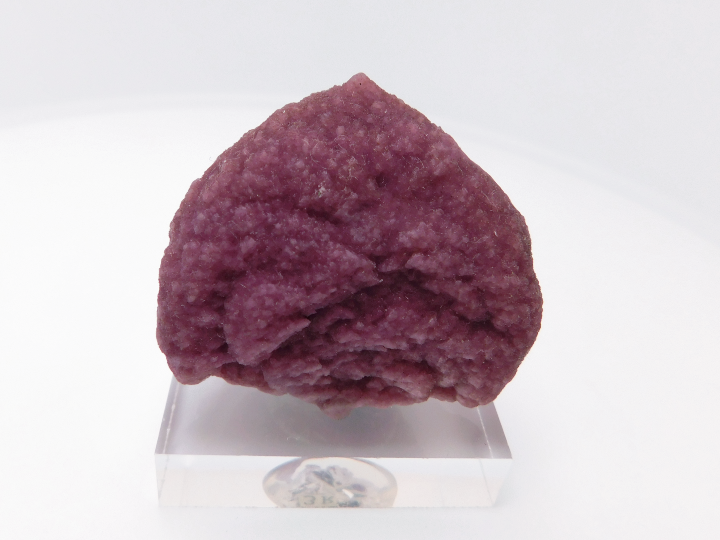 Rubellite - Image 14